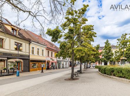 Prodej domu/vily, 390 m²