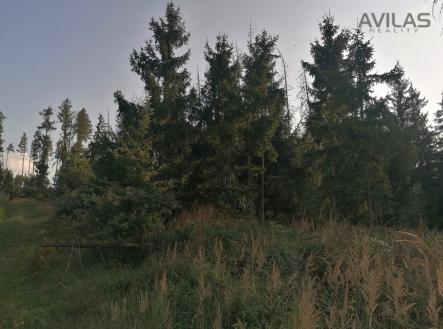 Prodej pozemku, les, 5 835 m²