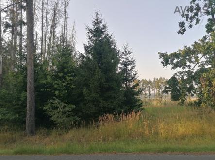 Prodej pozemku, les, 5 835 m²