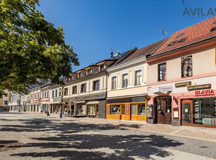 Prodej komerčního objektu, jiný, 256 m²