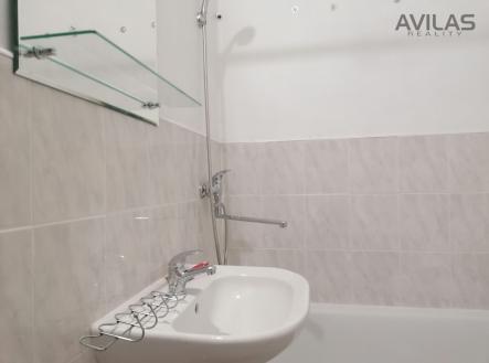 Pronájem bytu, 1+1, 42 m²