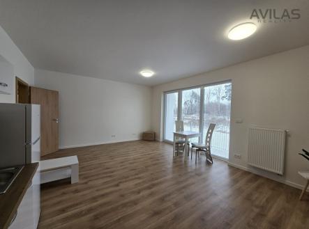 Pronájem bytu, 1+kk, 36 m²