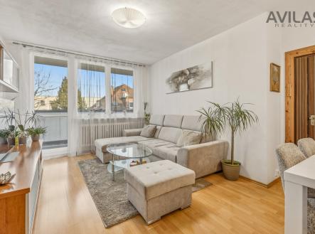 Prodej bytu, 3+1, 74 m²