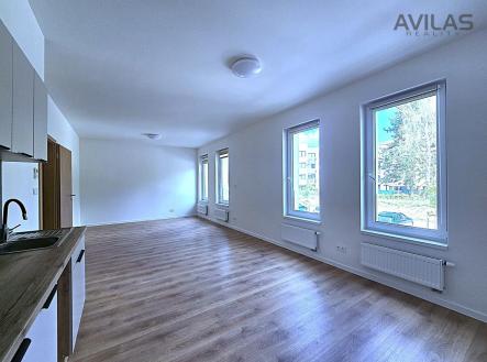 Pronájem bytu, 1+kk, 42 m²