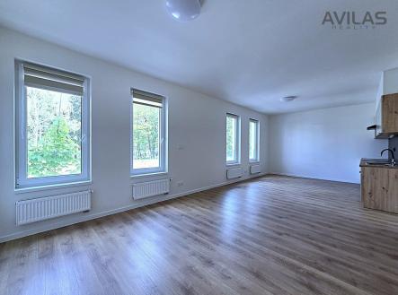 Pronájem bytu, 1+kk, 42 m²