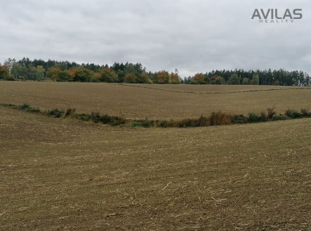 Prodej pozemku, zemědělská půda, 47 058 m²