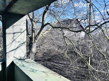 Pronájem komerčního objektu, jiný, 800 m²