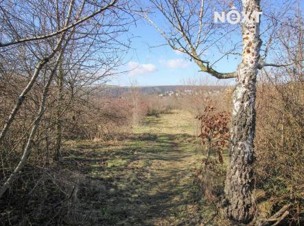 Pronájem pozemku, zahrada, 4 956 m²