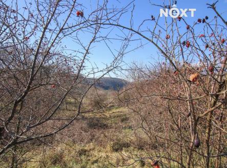 Pronájem pozemku, zahrada, 4 956 m²