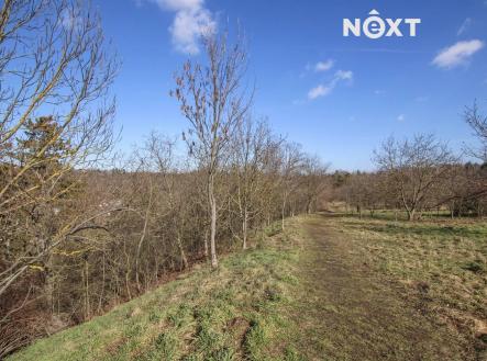 Pronájem pozemku, zahrada, 4 956 m²