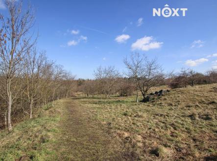 Pronájem pozemku, zahrada, 4 956 m²