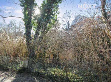 Pronájem pozemku, zahrada, 4 244 m²