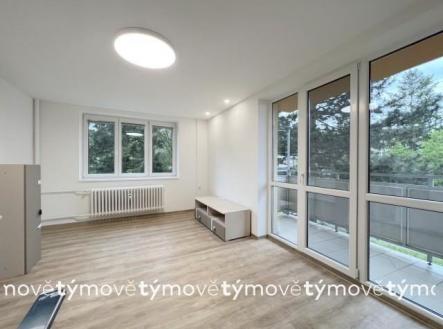 Pronájem bytu, 2+1, 51 m² obrázek