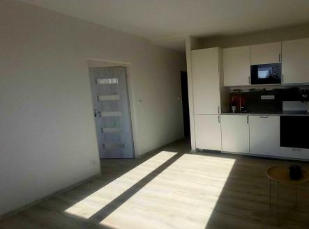 Pronájem bytu, 1+1, 47 m²