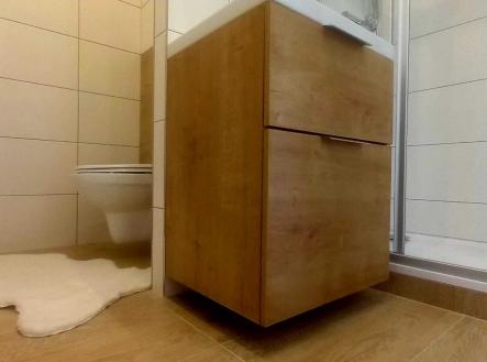 Pronájem bytu, 1+1, 47 m²