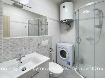 Pronájem bytu, 1+kk, 27 m²