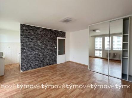 Pronájem bytu, 1+kk, 28 m²