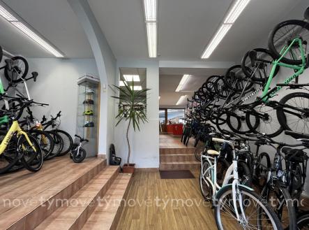 Prodej domu/vily, 225 m²