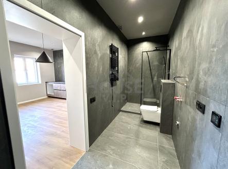 Prodej bytu, 2+kk, 45 m²