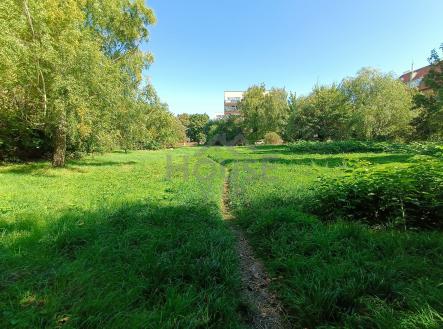 Prodej pozemku pro bydlení, 2 882 m²