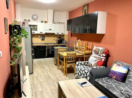 Prodej bytu, 2+kk, 50 m²