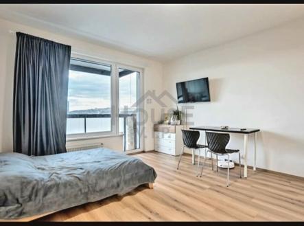 Pronájem bytu, 1+kk, 30 m²