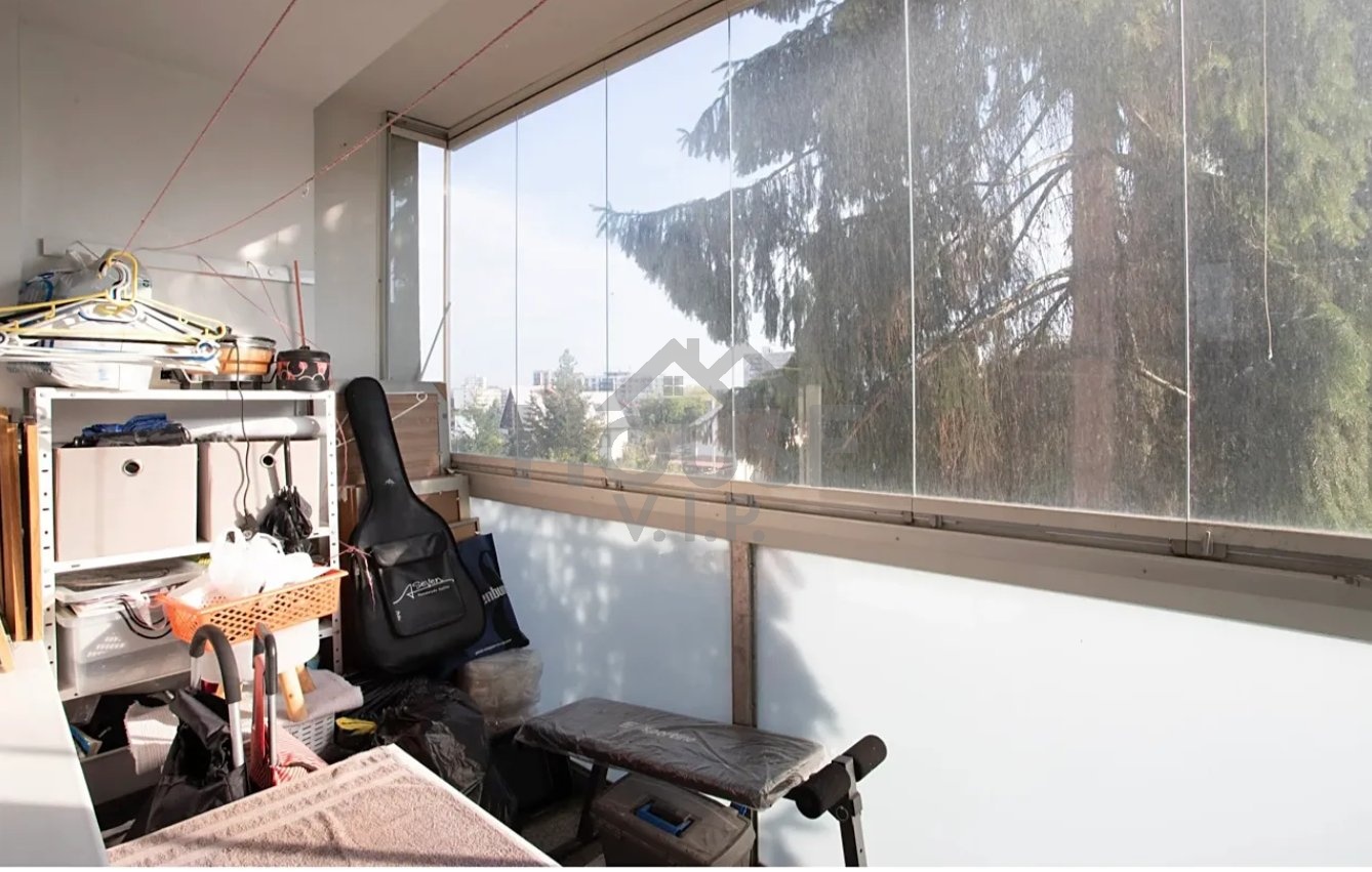 Snímek obrazovky 2026-01-23 125821