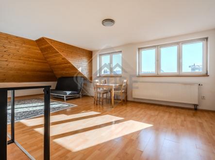 Prodej bytu, 1+kk, 48 m²