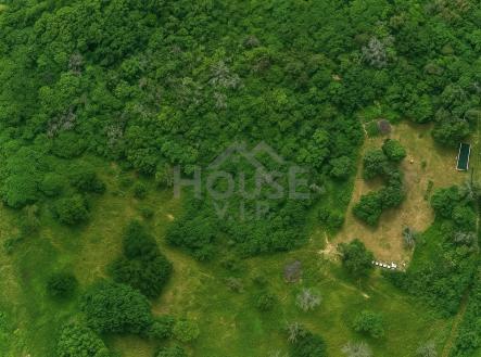 Prodej pozemku, zahrada, 8 993 m²