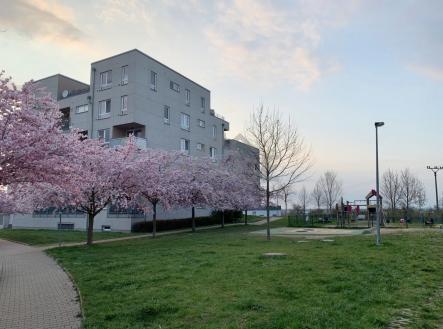 Prodej bytu, 2+kk, 58 m²