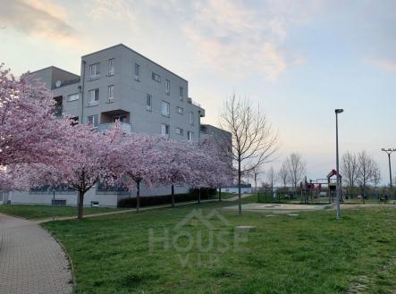 Prodej bytu, 2+kk, 58 m²