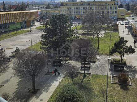 Pronájem bytu, 1+kk, 28 m²