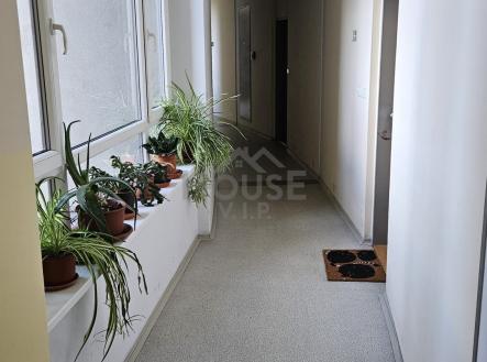 Pronájem bytu, 1+kk, 28 m²