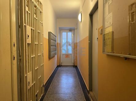 1350fa96-54c5-48ea-9831-a2ffa699351e