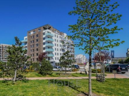 Prodej bytu, 2+kk, 58 m²