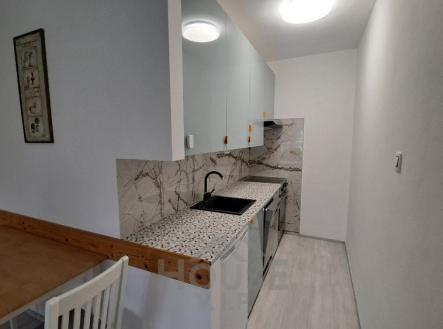 Pronájem bytu, 1+kk, 54 m²