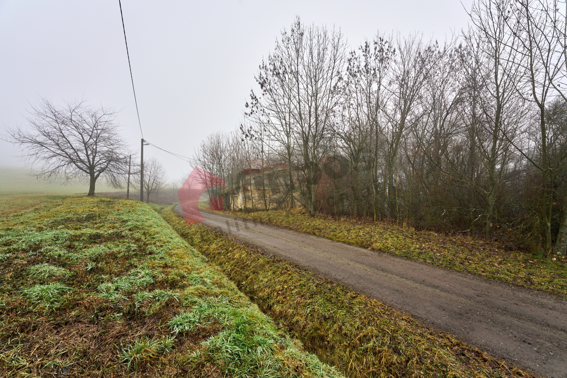 Prodej domu v Chlumi u Letovic s pozemkem 576 M2