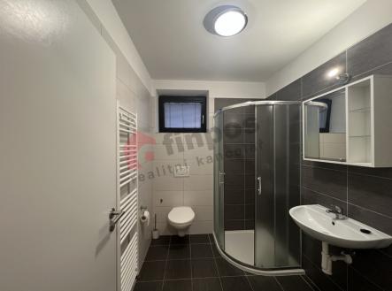 Pronájem bytu, 1+kk, 31 m²