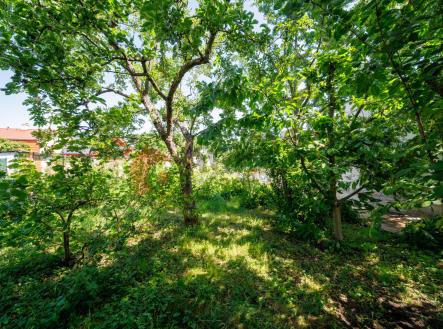 Prodej pozemku pro bydlení, 556 m²