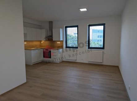 Pronájem bytu, 2+kk, 42 m²