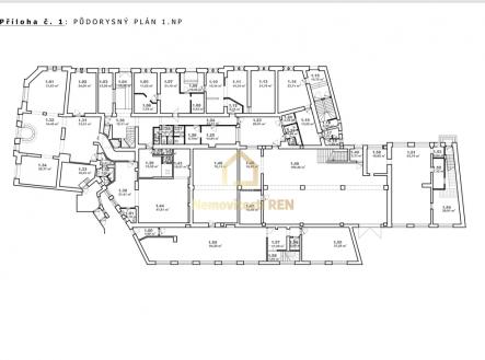 Pronájem kanceláře, 77 m²