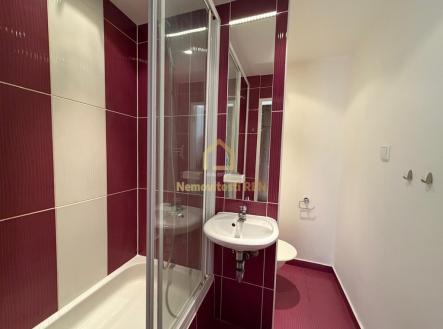 Pronájem bytu, 2+1, 45 m²