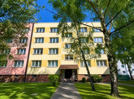 Pronájem bytu, 3+1, 59 m²