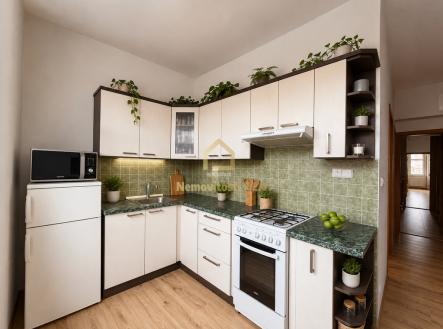 Pronájem bytu, 1+1, 50 m²
