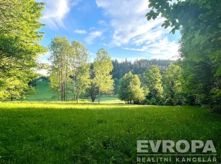 Prodej pozemku pro bydlení, 2 402 m²