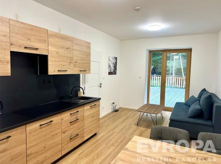 Prodej bytu, 2+kk, 40 m²