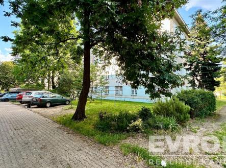 Prodej bytu, 1+kk, 30 m²