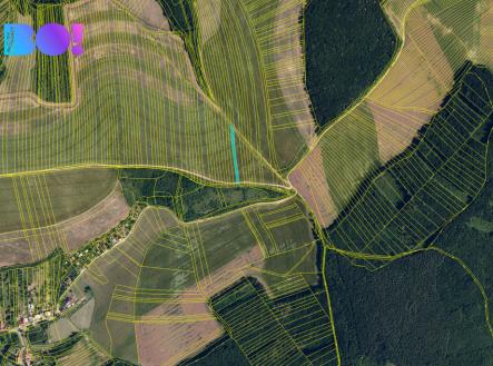 Prodej - pozemek, zemědělská půda, 7 166 m²
