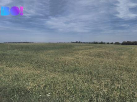 Prodej pozemku, zemědělská půda, 9 400 m²