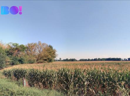 Prodej pozemku, zemědělská půda, 9 970 m²